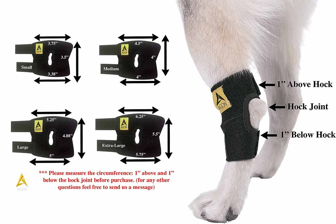 Agon Dog Canine Rear Hock Joint Brace