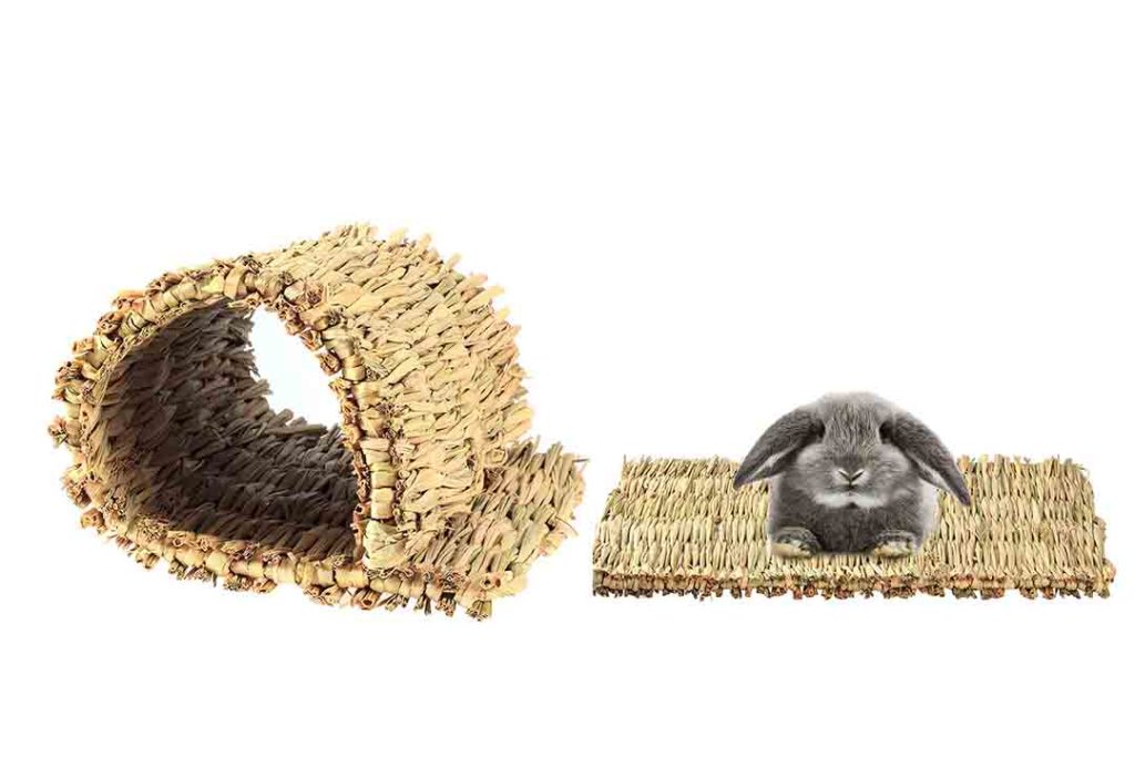 Top 10 Best Grass Mat for Bunny of 2022 Review Best Pet Pro