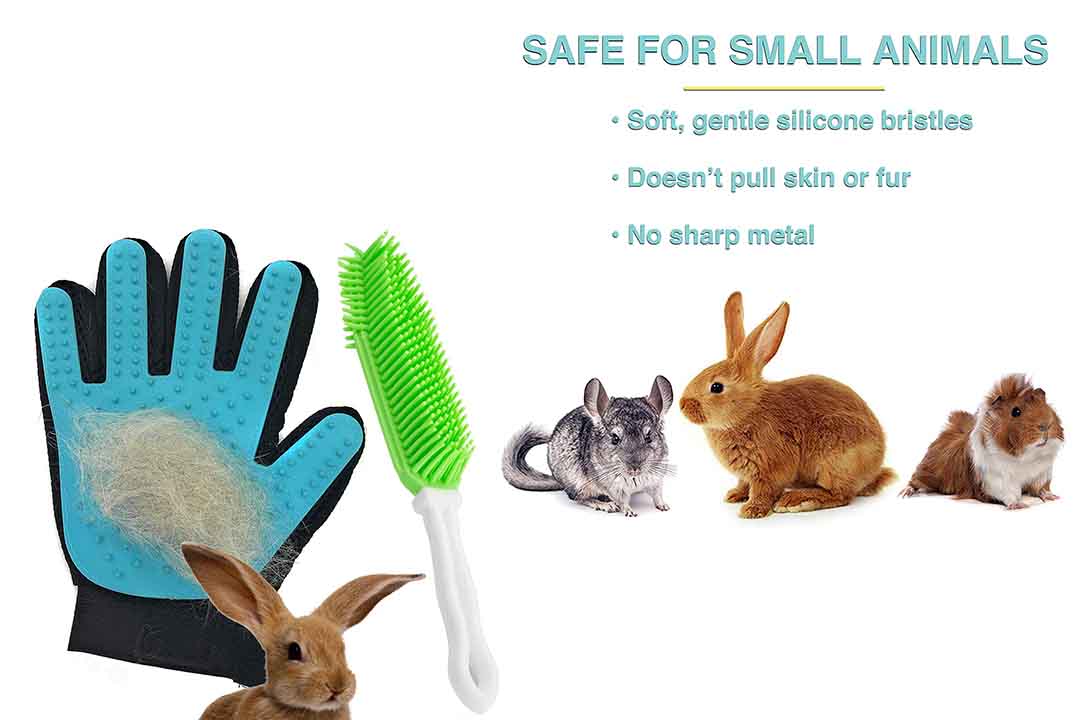 Dasksha Rabbit Brush and Grooming Glove