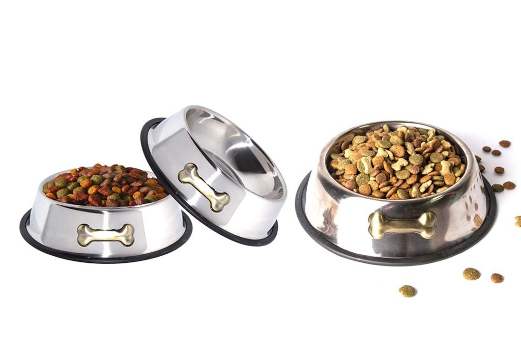 The 10 Best Stainless Steel Dog Bowls of 2024 Review Best Pet Pro