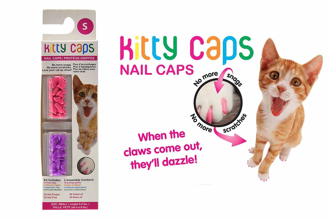 Kitty Caps Nail Caps for Cats