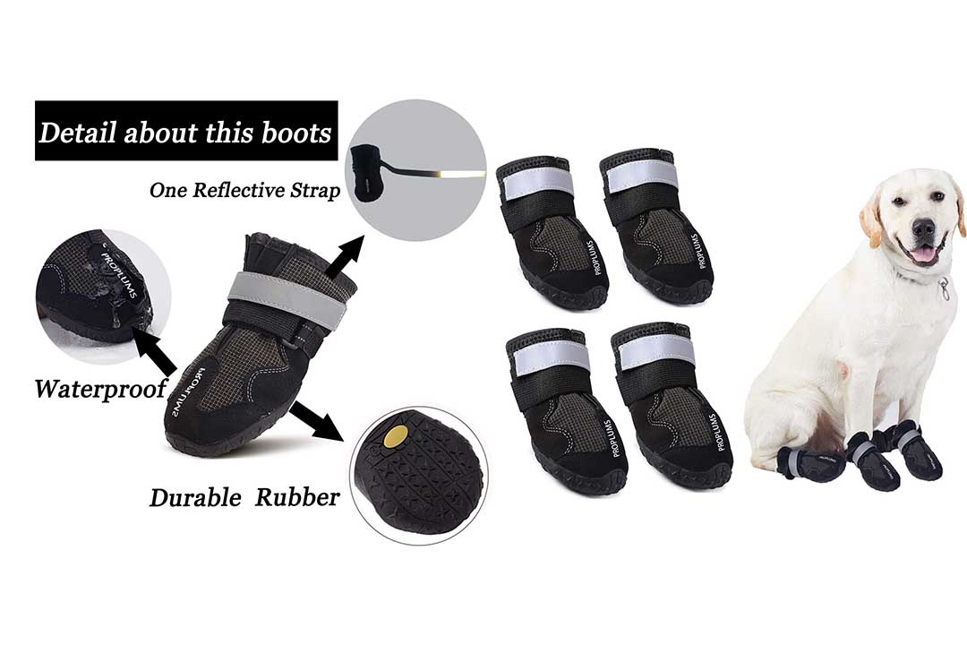 PROPLUMS Waterproof Dog Boots