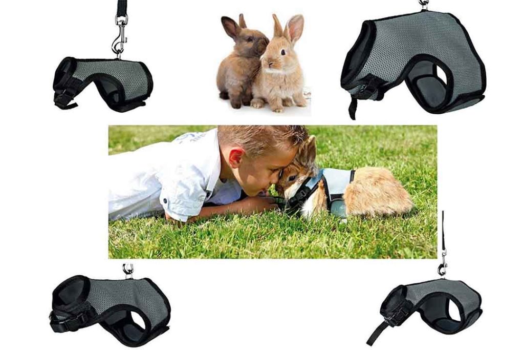 The 10 Best Breathable Bunny Harness of 2023 Review & Buyer's Guide
