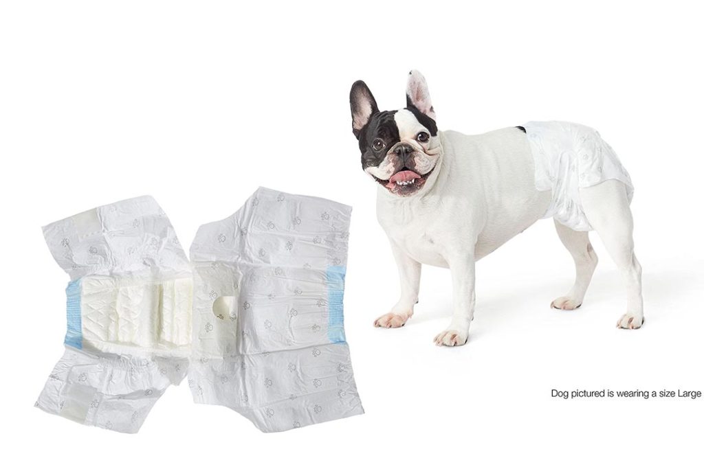 the-10-best-dog-diapers-for-poop-2023-care-about-your-little-friends