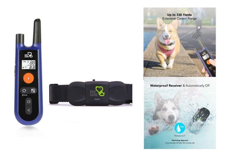 The 10 Best Dog Training Collar of 2022 Review Best Pet Pro
