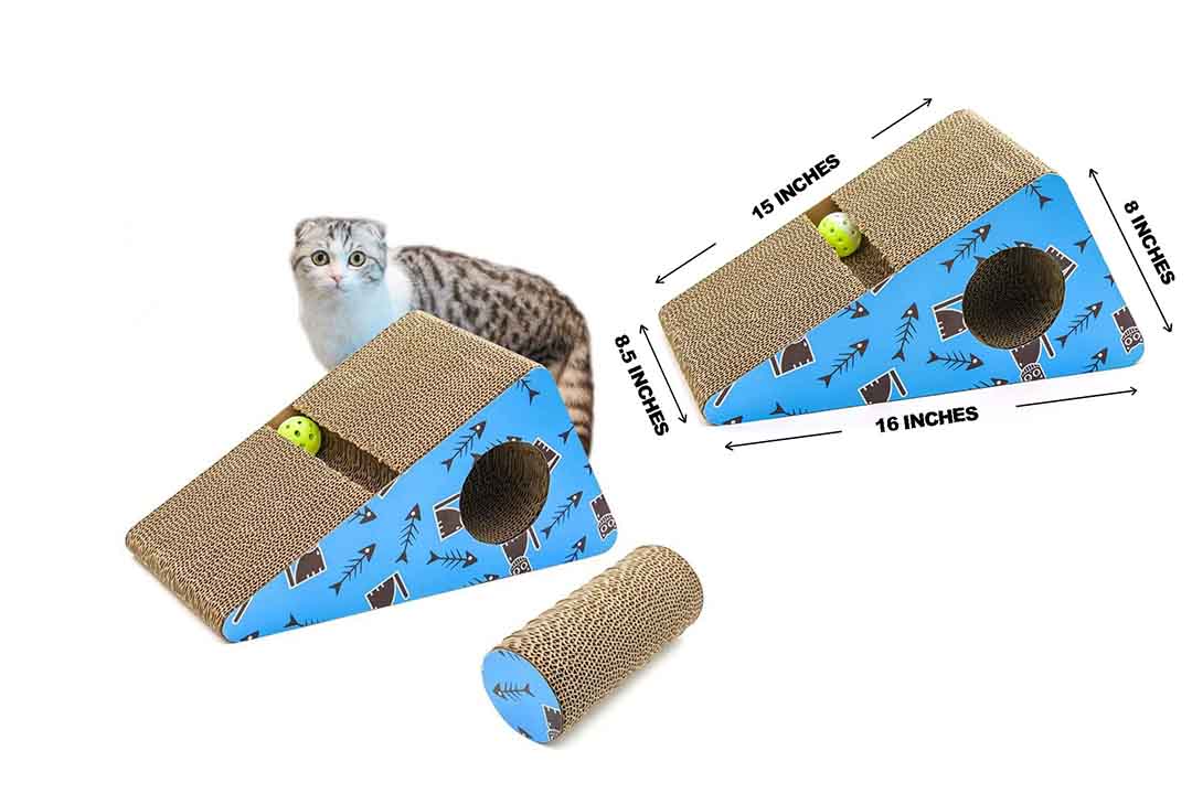 Living Express Multi-activity Kitty Scratching Post