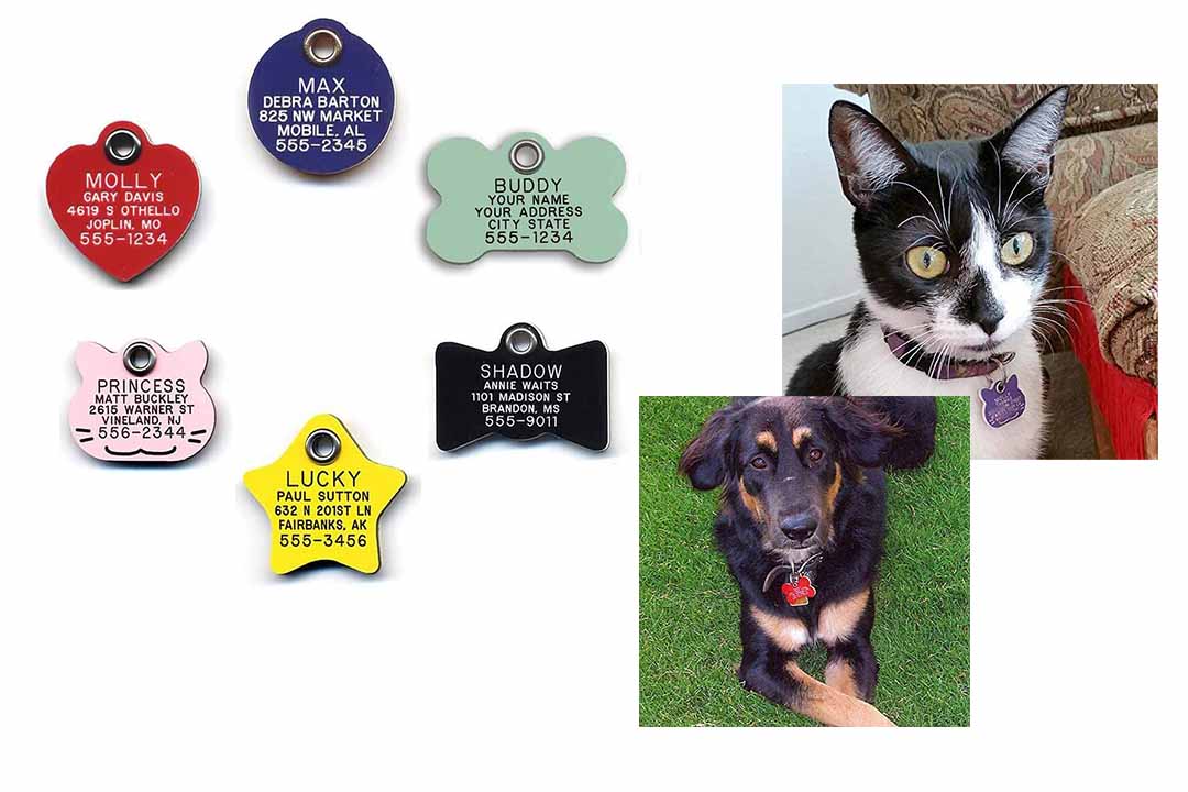 LuckyPet Durable Plastic Pet ID Tag