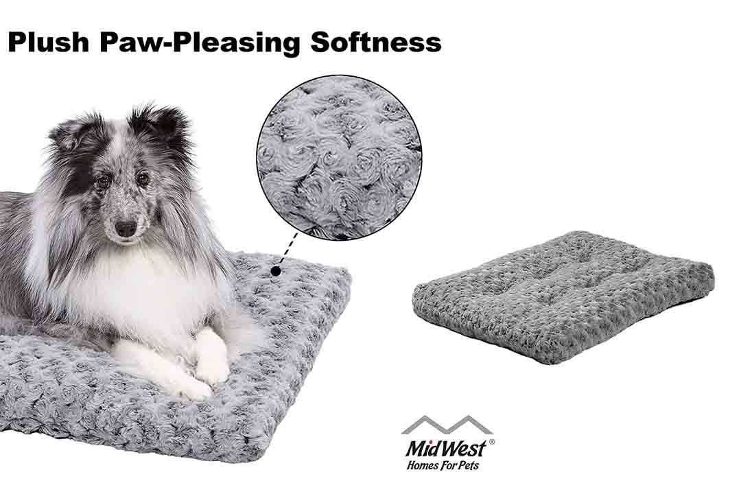 MidWest Homes for Pets Deluxe Pet Bed