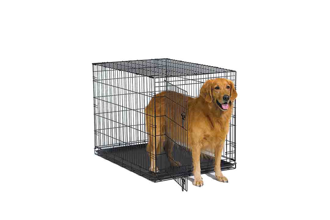 New World Folding Metal Dog Crate
