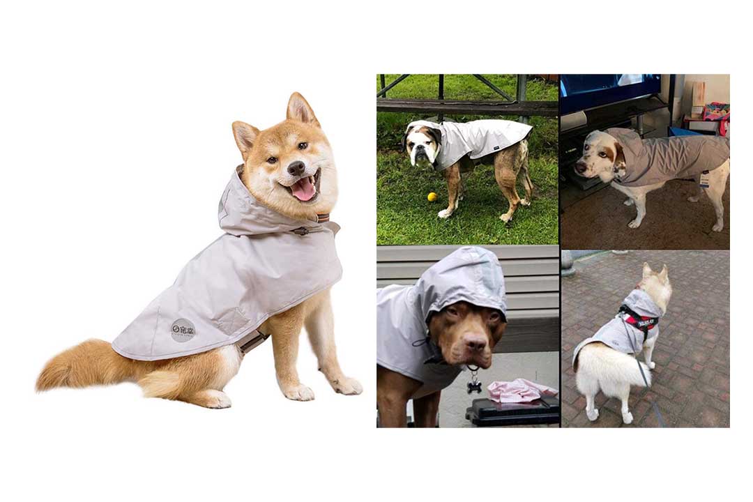 Nourse CHOWSING Dog Raincoat