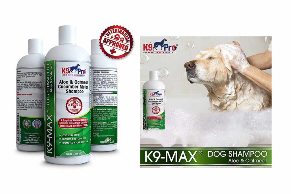Top 10 Best Puppy Shampoos of 2022 Review & Buyer's Guide Best Pet Pro