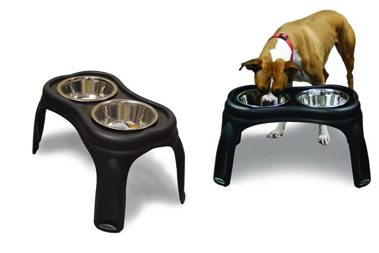 best elevated dog feeder