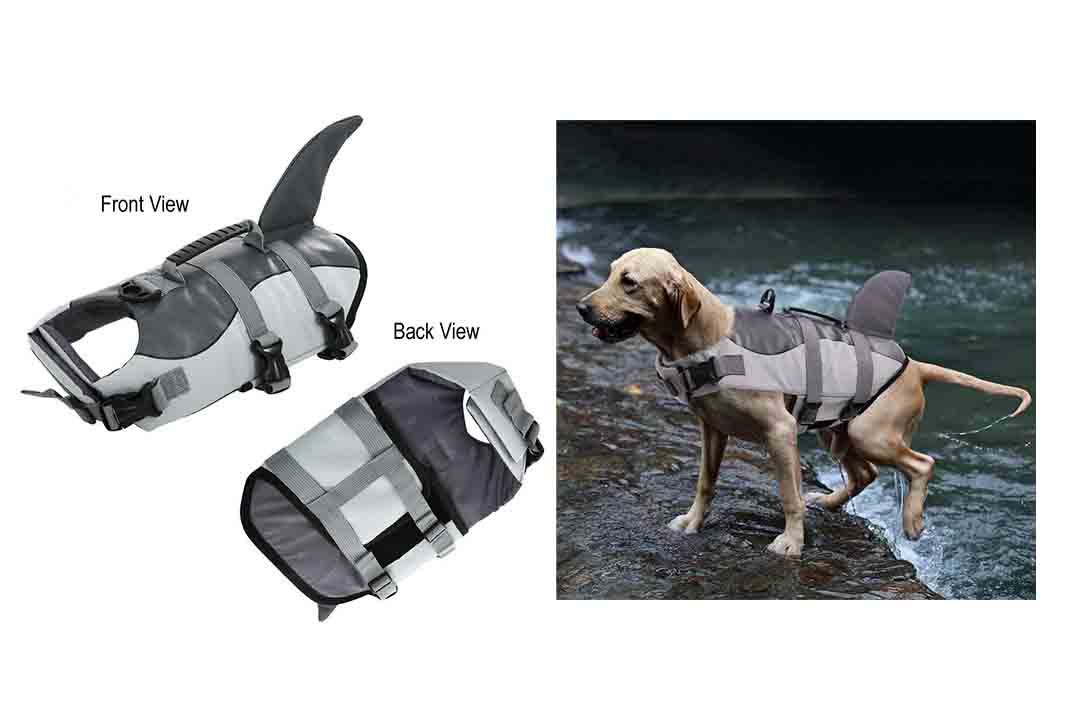 Queenmore Dog Life Jacket