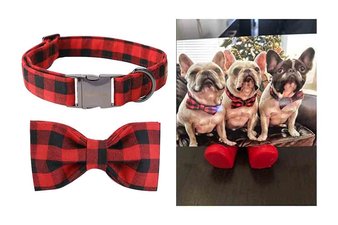 USP Pet Soft & Comfy Bowtie Dog Collar