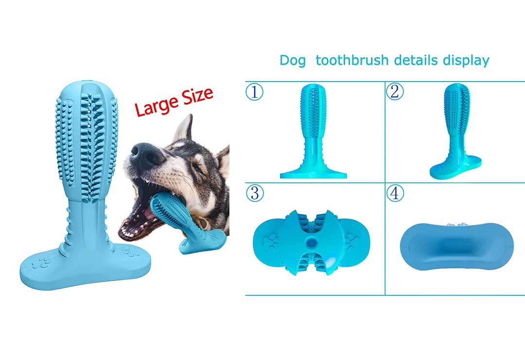 Wisedom Dog Toothbrush Stick