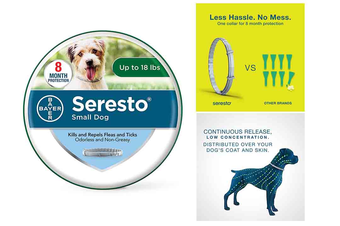 Bayer Animal Health Seresto Flea and Tick Collar for Small Dogs