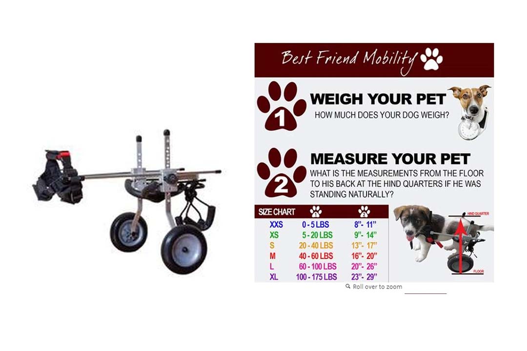 Best Friend Mobility Extra Small Dog Wheelchair