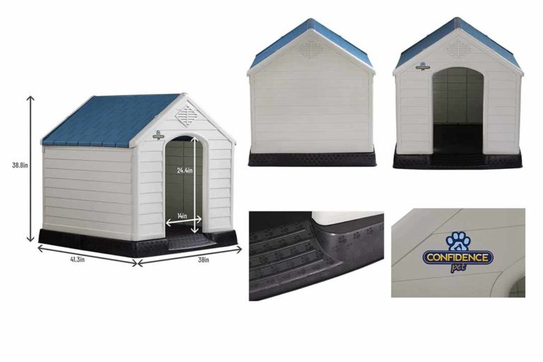 Top 10 Best Dog Igloo of 2023 Review Best Pet Pro