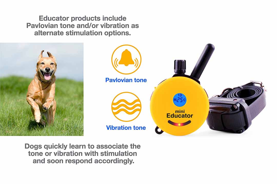 Educator E-Collar Remote Dog Training Collar