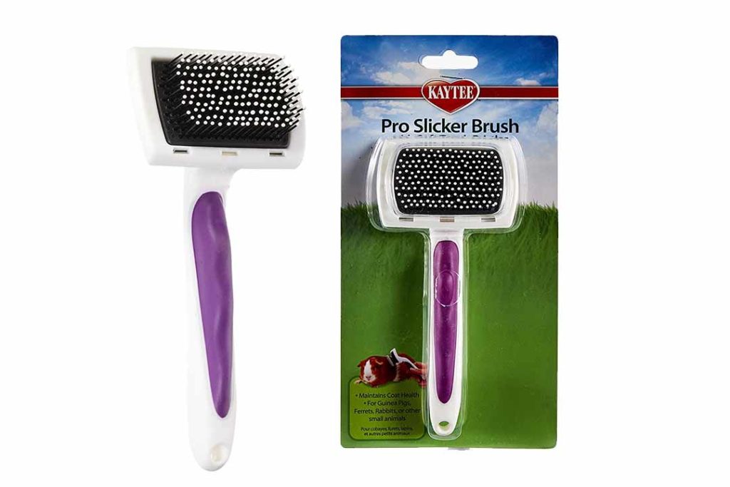 Top 10 Best Rabbit Grooming Brush of 2024 Review Best Pet Pro