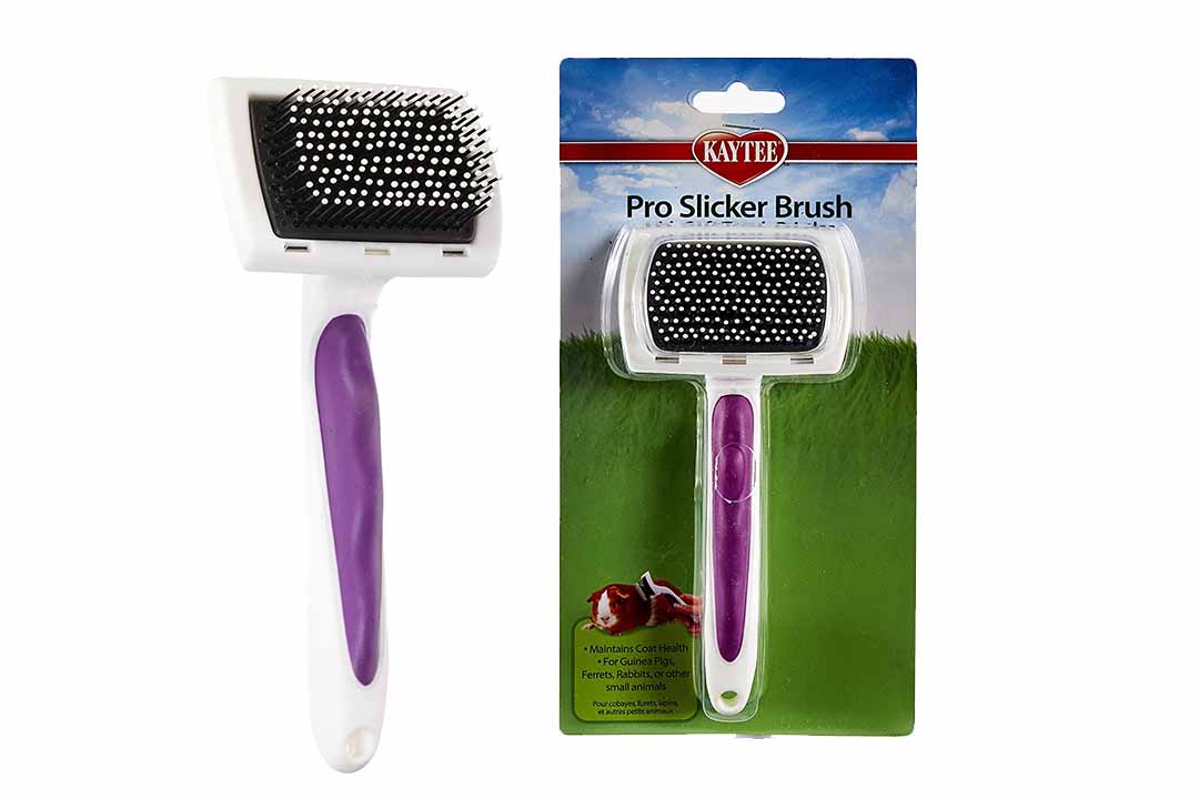 Kaytee Pro-Slicker Brush for Small Pets