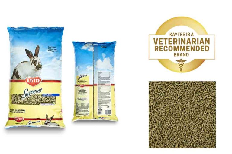 Top 10 Healthiest Food for Rabbits of 2022 Review Best Pet Pro