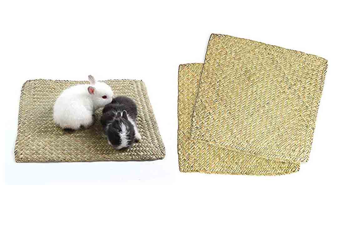 Niteangel 2-Pack of Soft Sea Grass Mats