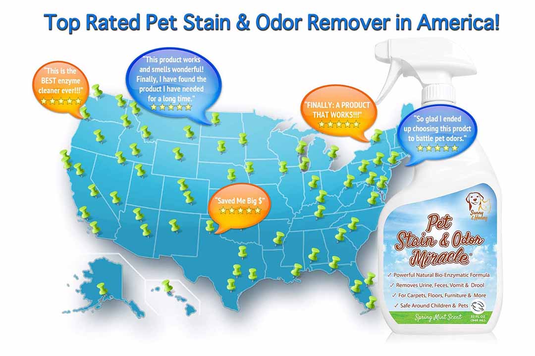 Pet Stain & Odor Miracle - Enzyme Cleaner