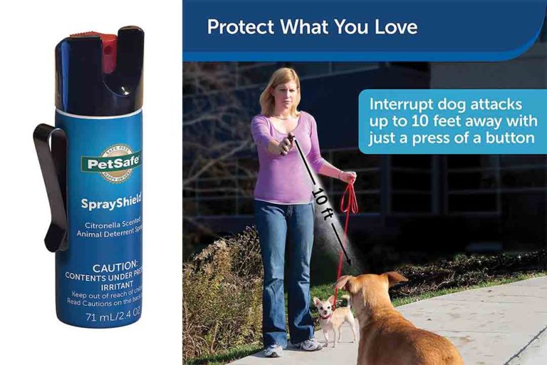 Top 10 Best Dog Repellent Spray of 2024 Review Best Pet Pro