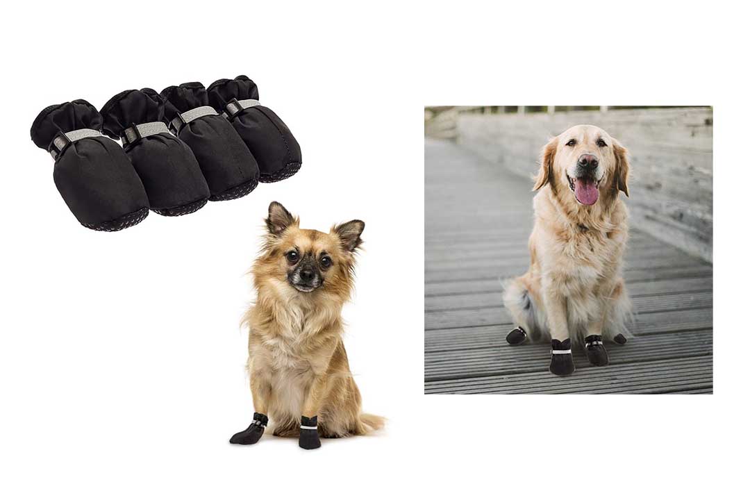 BINGPET Dog Shoes Waterproof Dog Boots