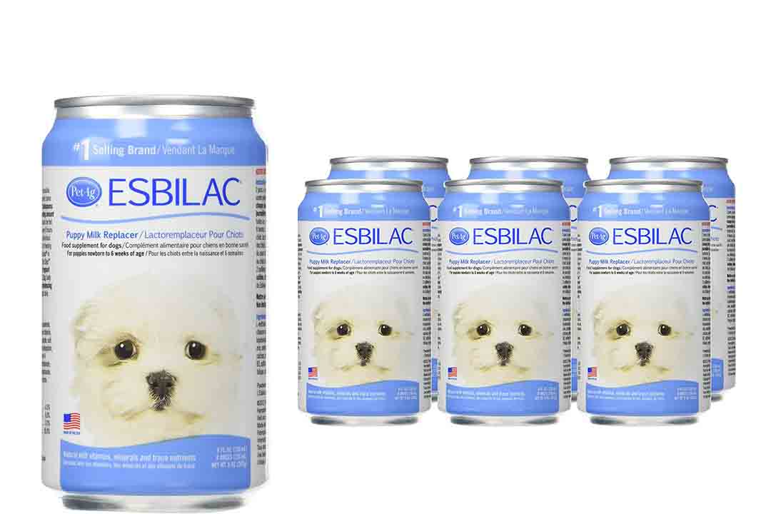 Esbilac Milk Replacer for Puppies