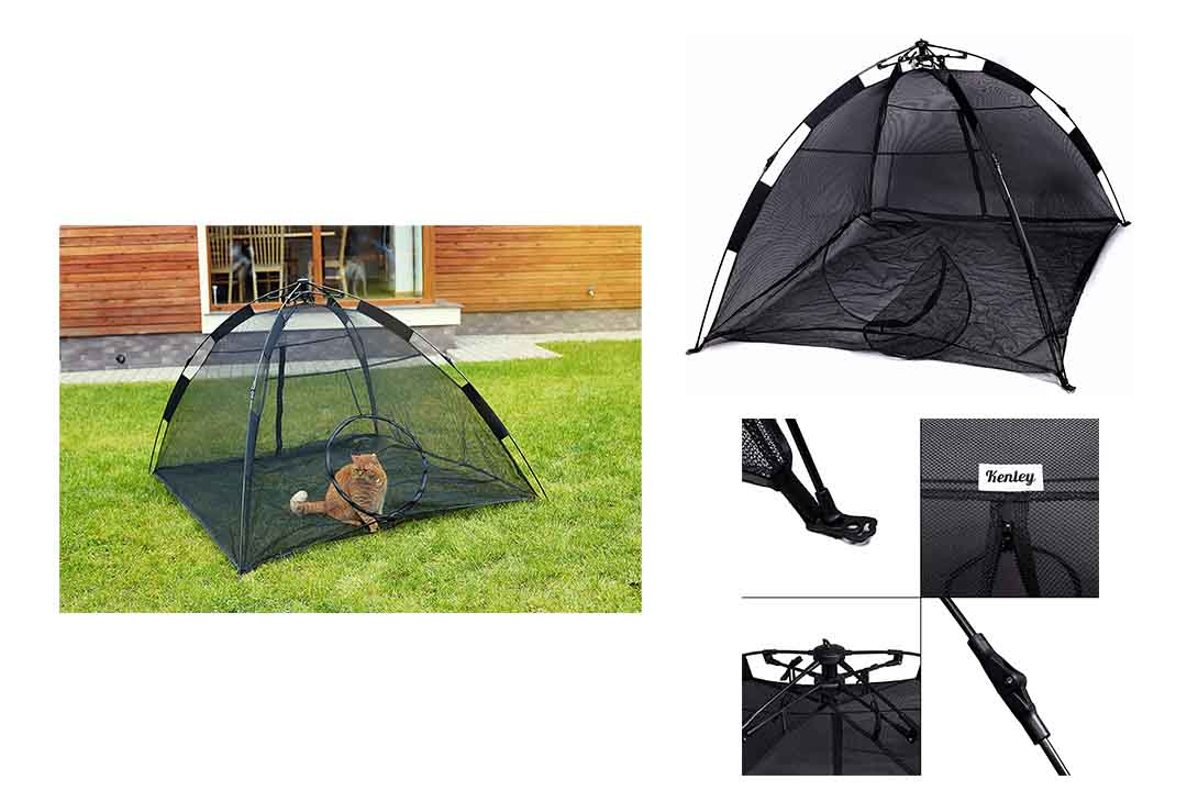 Kenley Cat Outdoor Playpen Tent