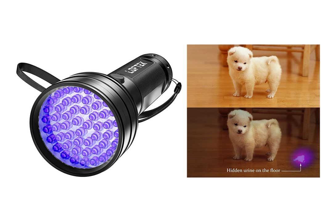 LOFTEK UV 395 nM Ultraviolet LED Flashlight