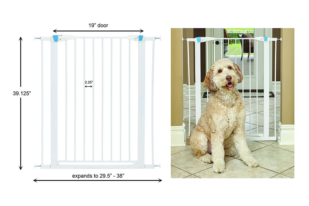 MidWest Homes for Pets Walk-Thru Steel Pet Gate