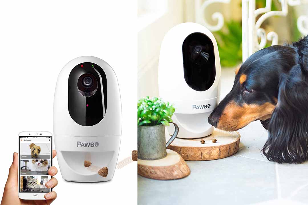 Pawbo Life Wi-Fi Pet Camera