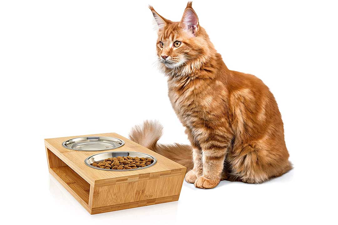 Pawfect Pets Premium Elevated Dog and Cat Pet Feeder