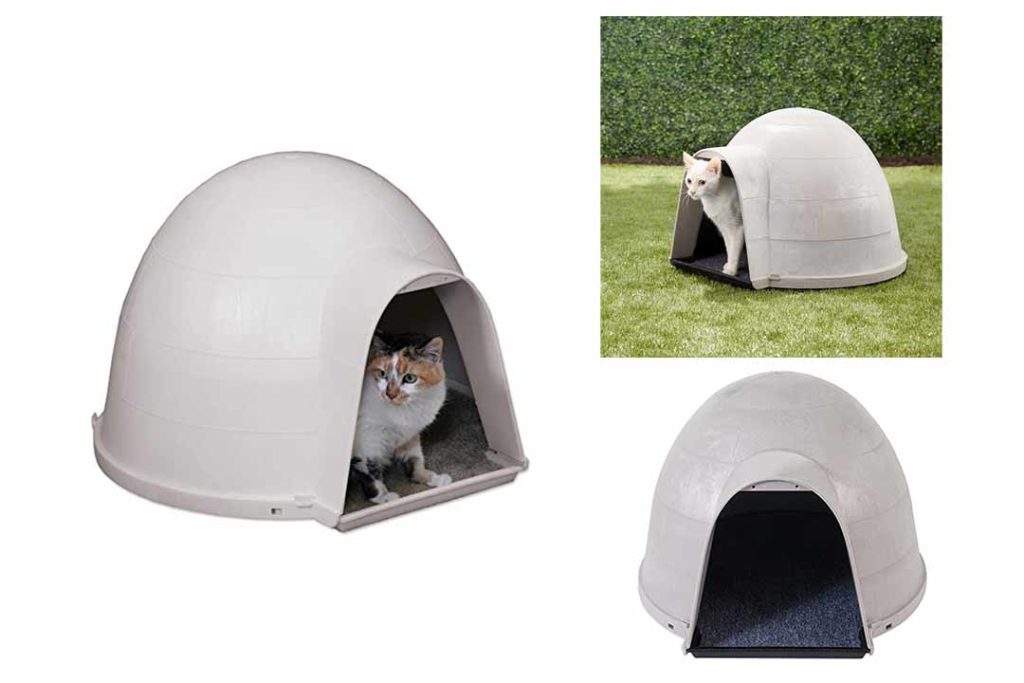 Top 10 Best Dog Igloo of 2024 Review – Best Pet Pro