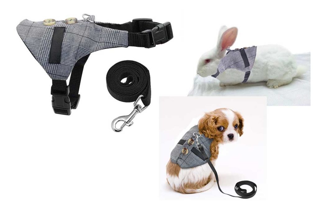 The 10 Best Breathable Bunny Harness of 2023 Review & Buyer's Guide