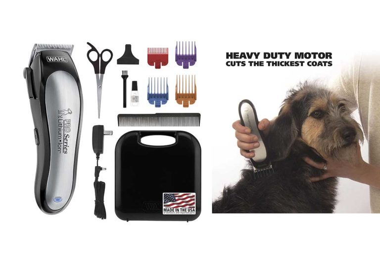 The 10 Professional Dog Grooming Kits of 2024 Review Best Pet Pro