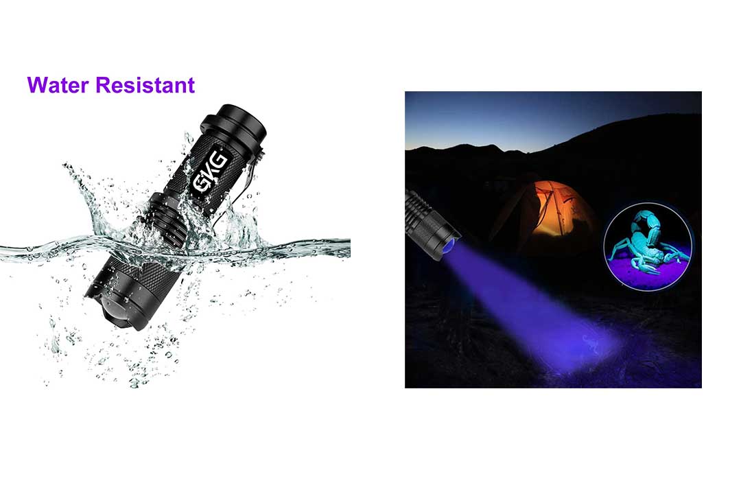 2Pack Black Light LED Flashlight