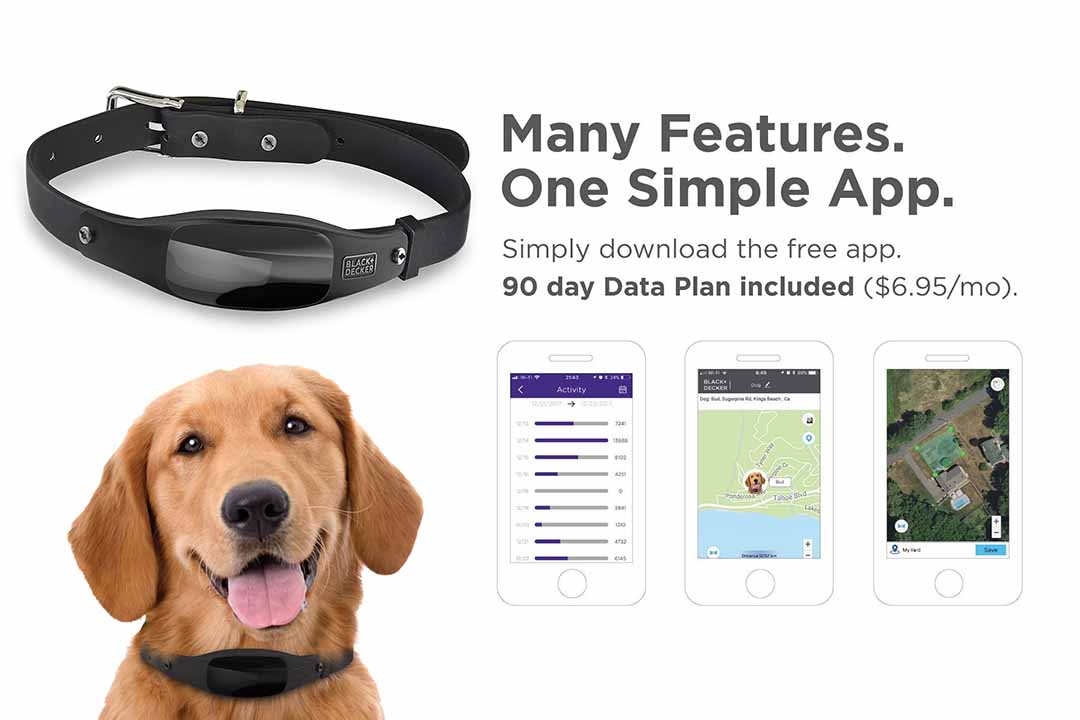 BLACK+DECKER Smart Dog Collar