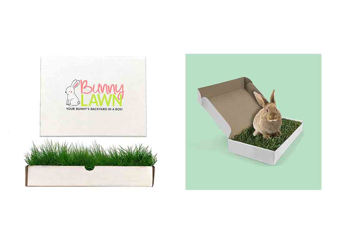 Bunny Lawn Fresh Grass Mat