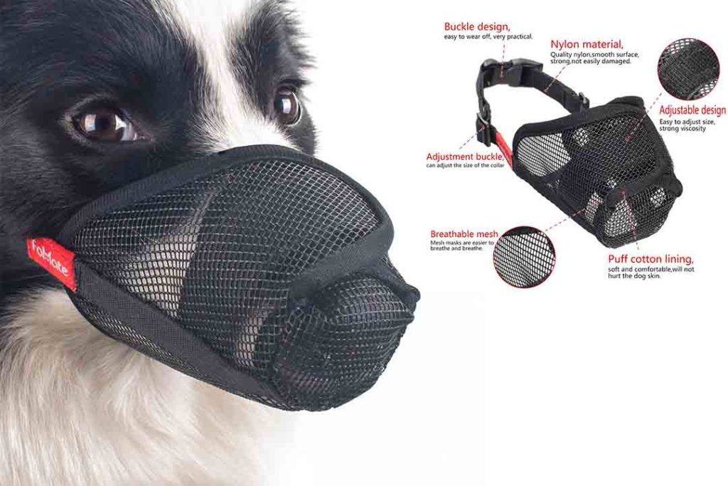 Top 10 Best Dog Muzzles to Prevent Biting of 2024 Review Best Pet Pro