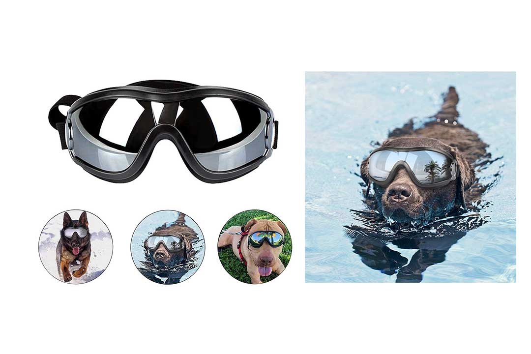 Loggipet Dog Goggles