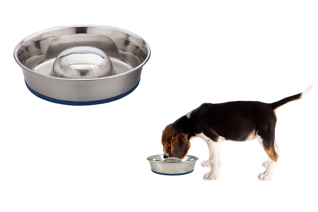 OurPets DuraPet Slow Feed Premium Stainless Steel Dog Bowl