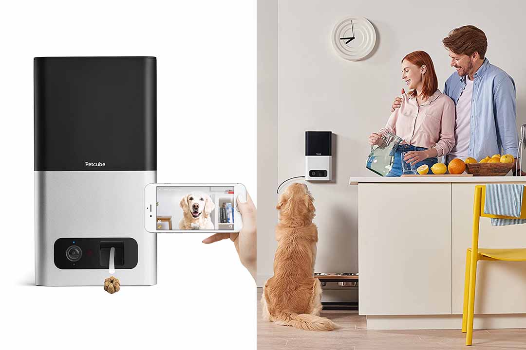 Petcube Bites Pet Camera with Treat Dispenser