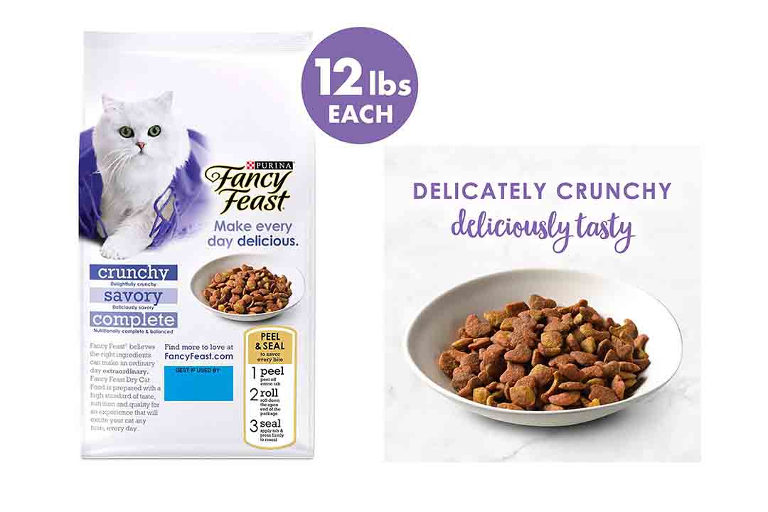 Purina Fancy Feast Adult Dry Cat Food