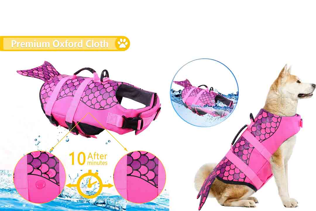 Ripstop Pet Floatation Life Vest