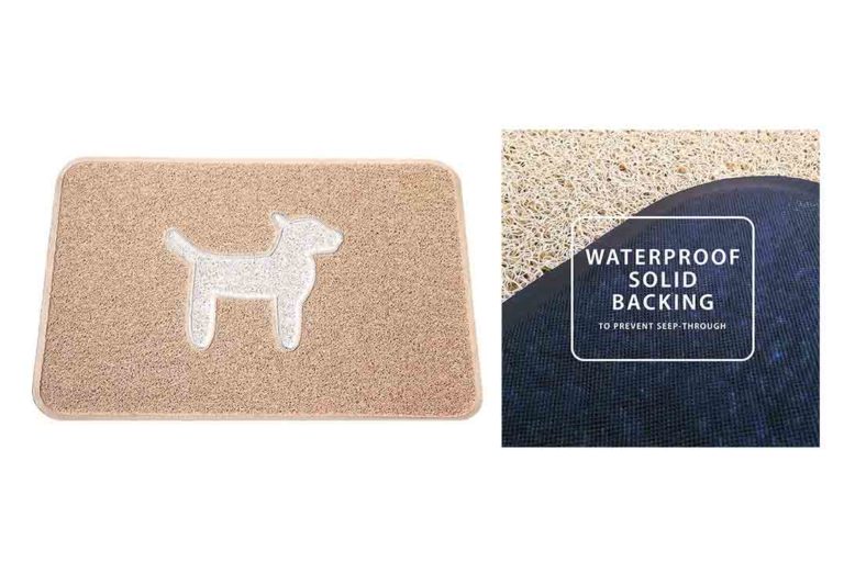 Top 10 Best Doormats for Dogs of 2022 Review Best Pet Pro