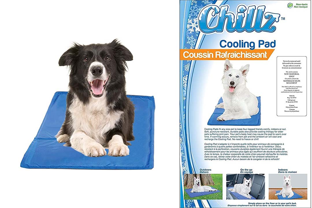 chillz cooling mat for dogs